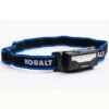 Lampe Frontale DEL, Kobalt, 200 Lumens (piles Incluses)
