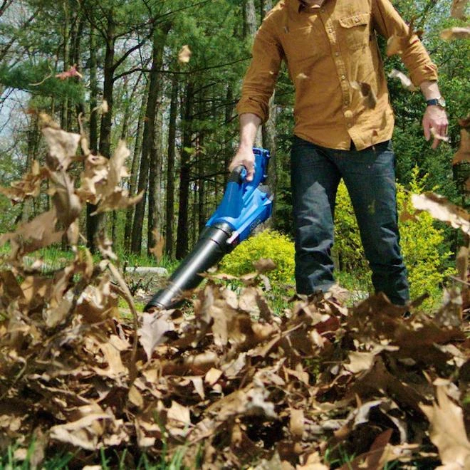 Ensemble Kobalt Taille-bordure Et Souffleur 24 V Sans Fil, Batterie Et Chargeur Inclus 5 Ensemble Kobalt Taille-bordure Et Souffleur 24 V Sans Fil, Batterie Et Chargeur Inclus – Image 5